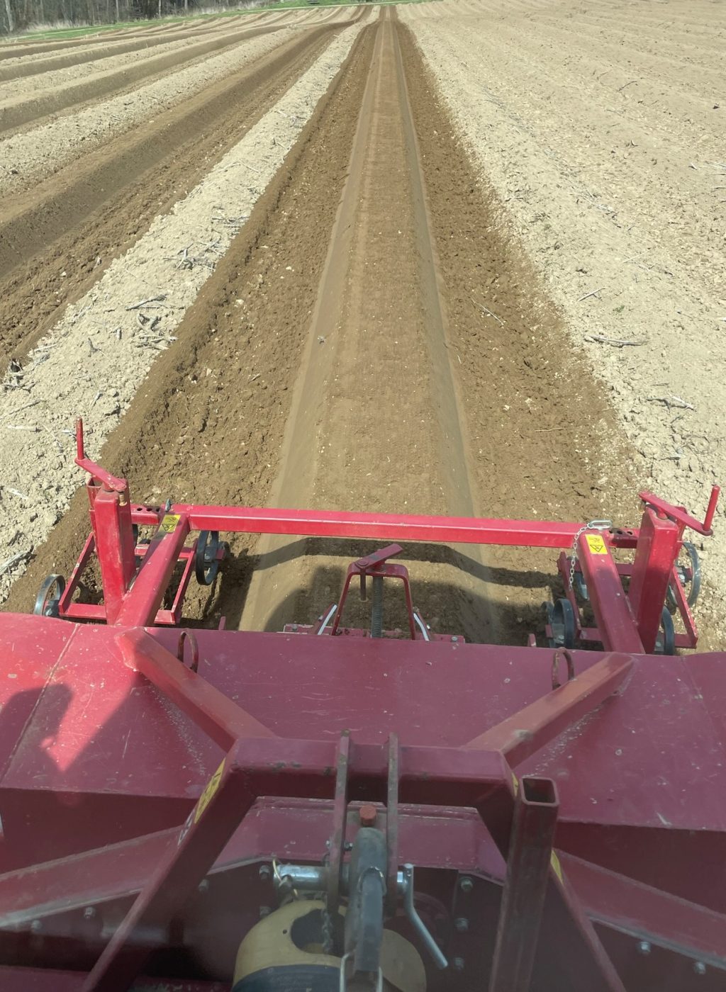 IMG_8045 Spargeldaemme ziehen